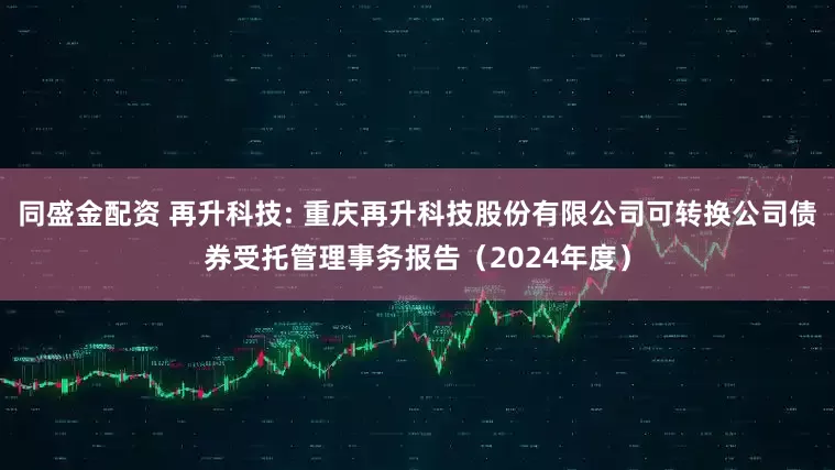 同盛金配资 再升科技: 重庆再升科技股份有限公司可转换公司债券受托管理事务报告（2024年度）