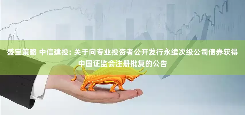 盛宝策略 中信建投: 关于向专业投资者公开发行永续次级公司债券获得中国证监会注册批复的公告