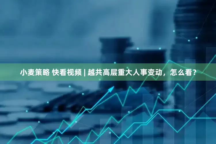 小麦策略 快看视频 | 越共高层重大人事变动，怎么看？