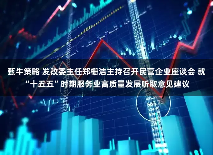 甄牛策略 发改委主任郑栅洁主持召开民营企业座谈会 就“十五五”时期服务业高质量发展听取意见建议